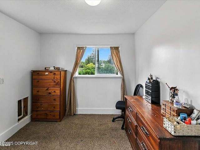 72155 Shannon Rd, Anchor Point, AK 99556 - carpeted office space with baseboards