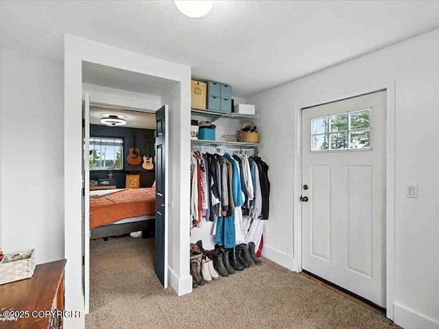 72155 Shannon Rd, Anchor Point, AK 99556 - view of closet