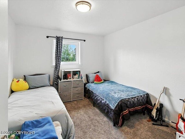 72155 Shannon Rd, Anchor Point, AK 99556 - view of carpeted bedroom