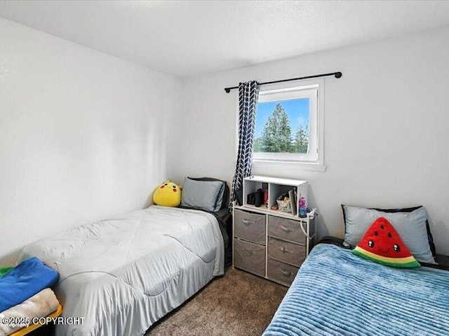 72155 Shannon Rd, Anchor Point, AK 99556 - view of carpeted bedroom