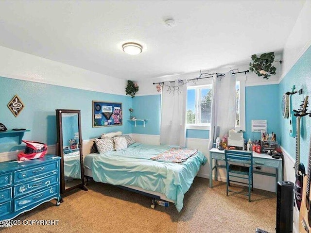 72155 Shannon Rd, Anchor Point, AK 99556 - bedroom with carpet flooring