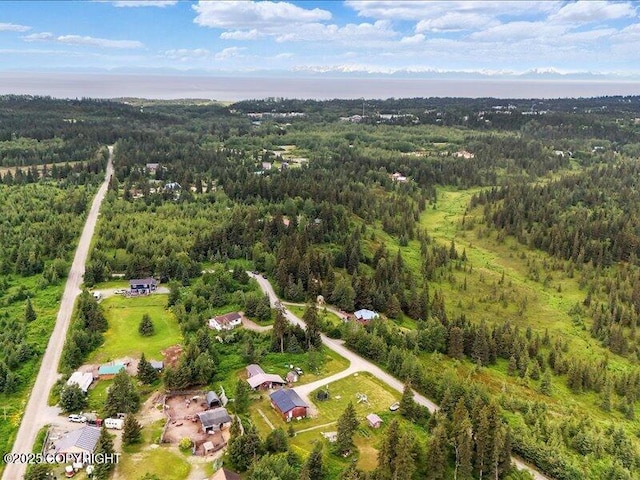 72155 Shannon Rd, Anchor Point, AK 99556 - aerial overview of property's location with a heavily wooded area