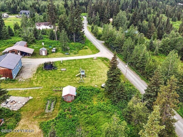 72155 Shannon Rd, Anchor Point, AK 99556 - drone / aerial view of a forest