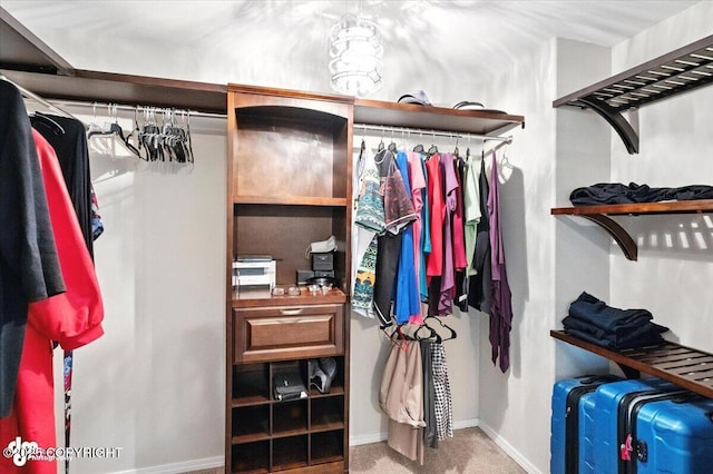 2608 Lauren Creek Loop # 4, Anchorage, AK 99507 - spacious closet with carpet flooring