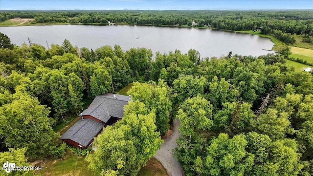 3291 N Edgewater Dr, Wasilla, AK 99623 - view of subject property featuring a heavily wooded area and a large body of water