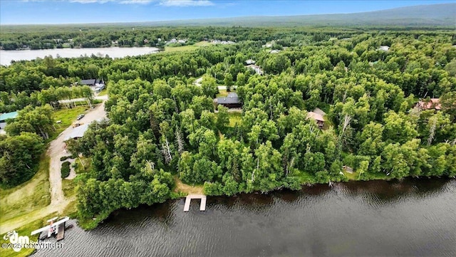 3291 N Edgewater Dr, Wasilla, AK 99623 - bird's eye view of a large body of water and a heavily wooded area