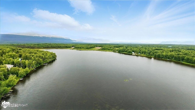 3291 N Edgewater Dr, Wasilla, AK 99623 - drone / aerial view of a heavily wooded area and a nearby body of water