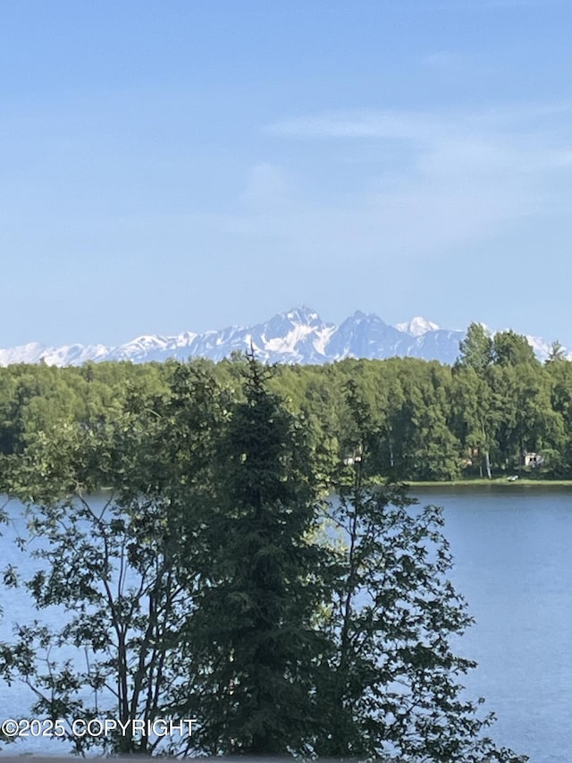 3291 N Edgewater Dr, Wasilla, AK 99623 - water view featuring a mountainous background and a heavily wooded area