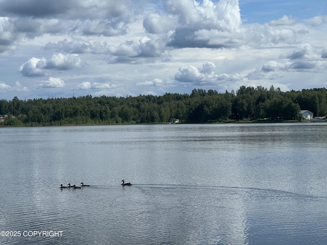 3291 N Edgewater Dr, Wasilla, AK 99623 - photo 6