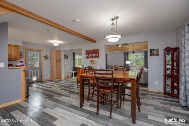 14327 E Birch Cir, Talkeetna, AK 99676 - dining space with wood finished floors and baseboards