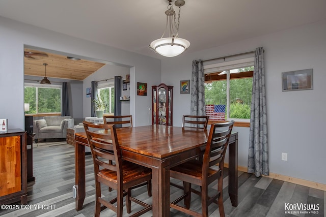 14327 E Birch Cir, Talkeetna, AK 99676 - dining space with dark wood-style flooring and vaulted ceiling