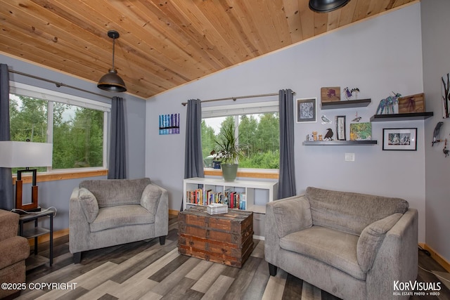 14327 E Birch Cir, Talkeetna, AK 99676 - living room featuring vaulted ceiling, wood finished floors, and wood ceiling