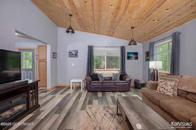 14327 E Birch Cir, Talkeetna, AK 99676 - living room featuring vaulted ceiling, wood finished floors, and wood ceiling