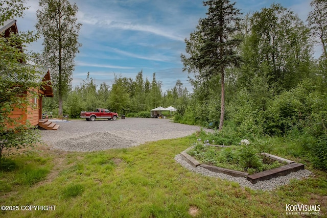 14327 E Birch Cir, Talkeetna, AK 99676 - view of yard featuring a vegetable garden