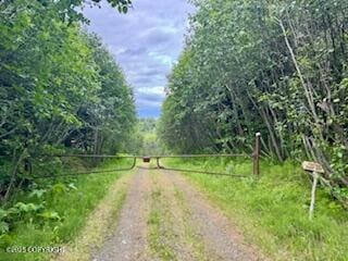28180 Coastal Vista Cir, Anchor Point, AK 99556 - view of street
