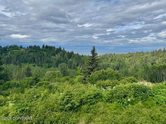 28180 Coastal Vista Cir, Anchor Point, AK 99556 - view of wooded area