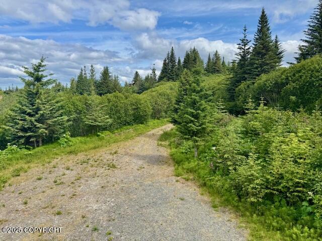 28180 Coastal Vista Cir, Anchor Point, AK 99556 - view of street