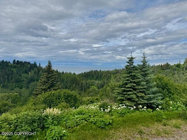 28180 Coastal Vista Cir, Anchor Point, AK 99556 - view of tree filled area