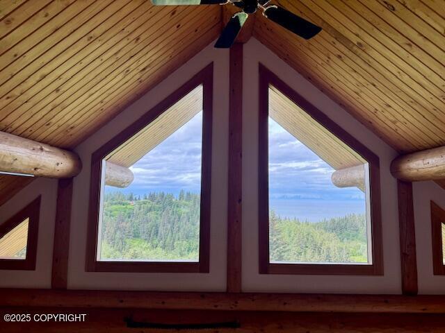 28180 Coastal Vista Cir, Anchor Point, AK 99556 - detailed view of wooden ceiling and ceiling fan