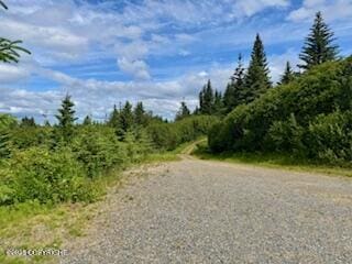 28180 Coastal Vista Cir, Anchor Point, AK 99556 - view of street