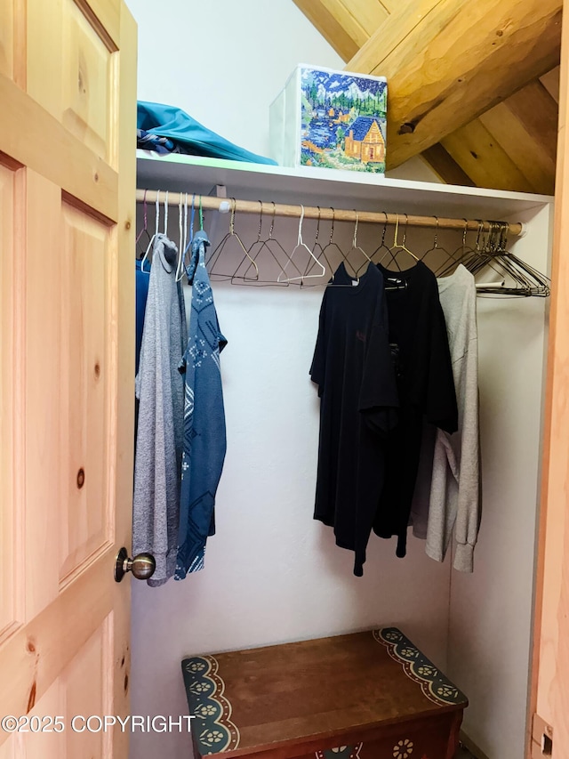 28180 Coastal Vista Cir, Anchor Point, AK 99556 - view of closet