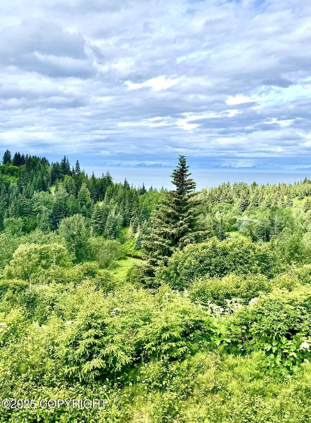 28180 Coastal Vista Cir, Anchor Point, AK 99556 - view of undeveloped land