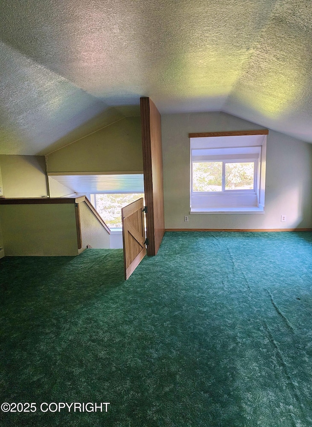 3043 Lakeview Dr, Kodiak, AK 99615 - additional living space with lofted ceiling, carpet floors, and a textured ceiling