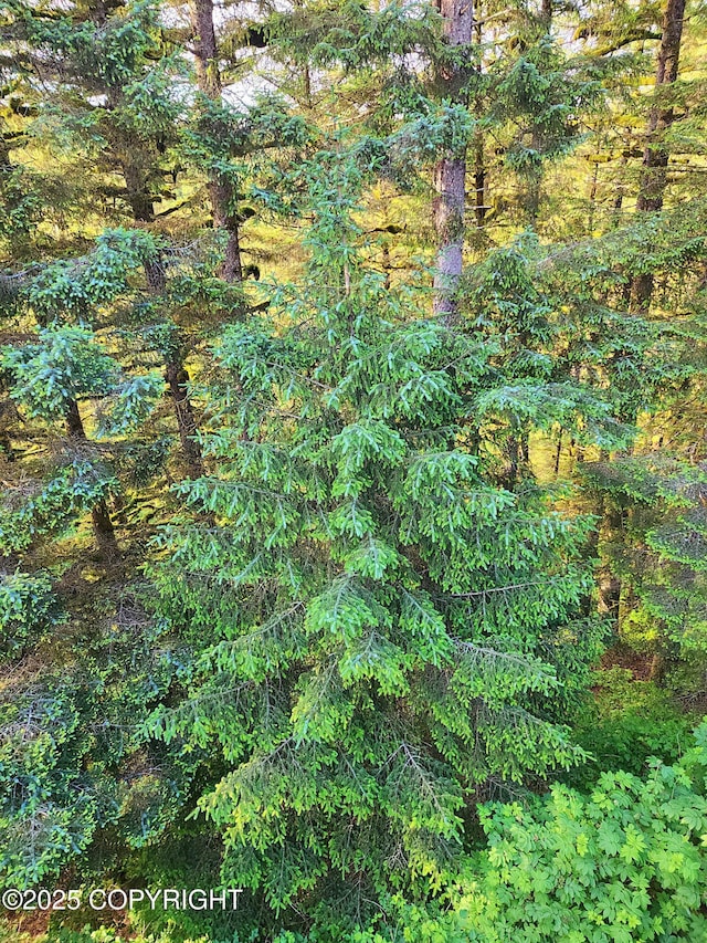 3043 Lakeview Dr, Kodiak, AK 99615 - view of tree filled area
