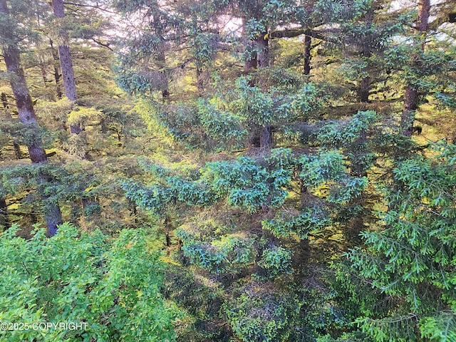 3043 Lakeview Dr, Kodiak, AK 99615 - view of woods
