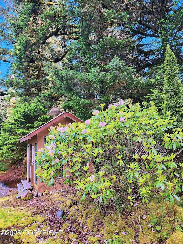 3043 Lakeview Dr, Kodiak, AK 99615 - view of yard with a storage unit