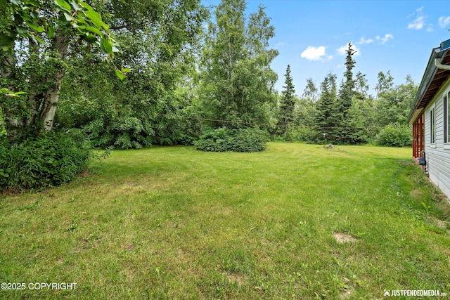 2534 S Saindon St, Wasilla, AK 99654 - photo 38