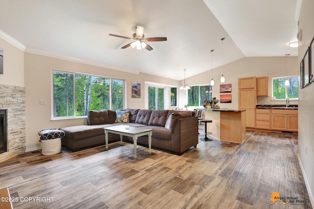 8675 E Horsetail Cir, Palmer, AK 99645 - photo 3