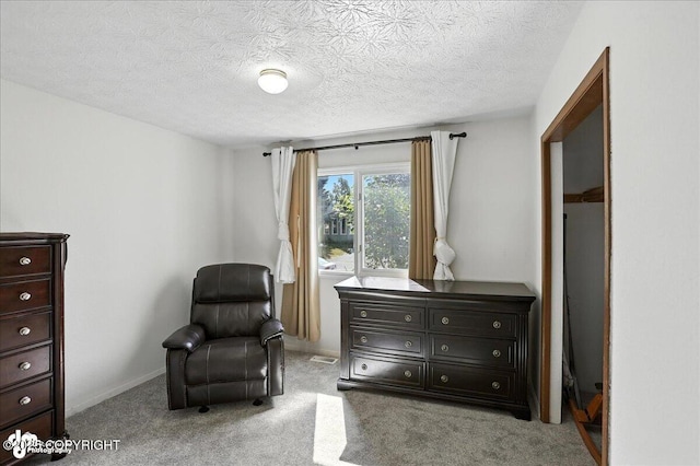 441 W 89th St, Anchorage, AK 99515 - photo 11