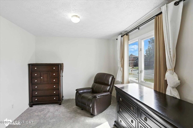441 W 89th St, Anchorage, AK 99515 - photo 12