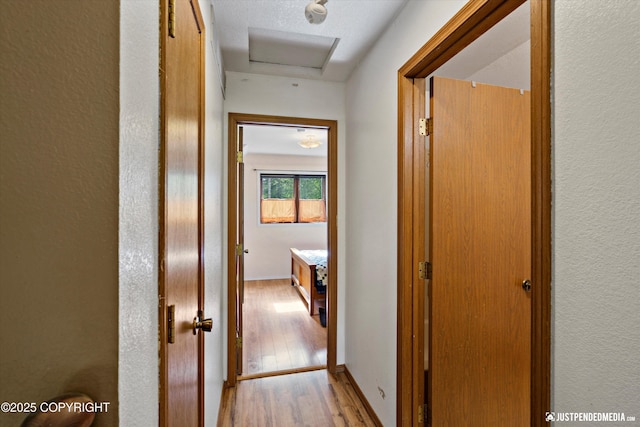 7409 S Timberview Dr, Wasilla, AK 99623 - corridor with light wood finished floors and a textured wall