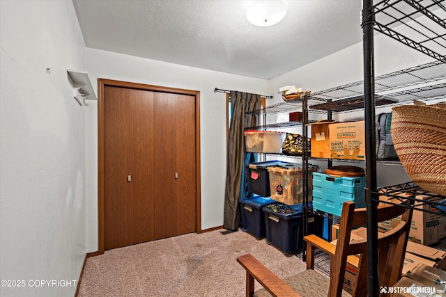 7409 S Timberview Dr, Wasilla, AK 99623 - view of storage
