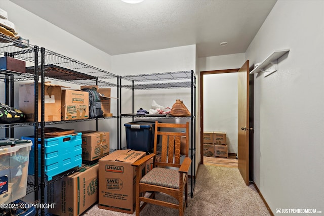 7409 S Timberview Dr, Wasilla, AK 99623 - view of storage area
