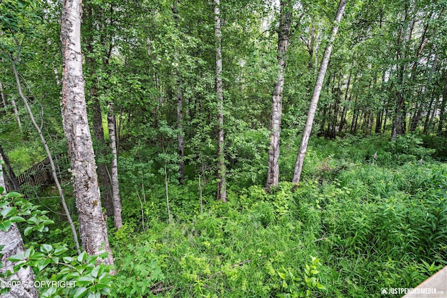 7409 S Timberview Dr, Wasilla, AK 99623 - view of tree filled area