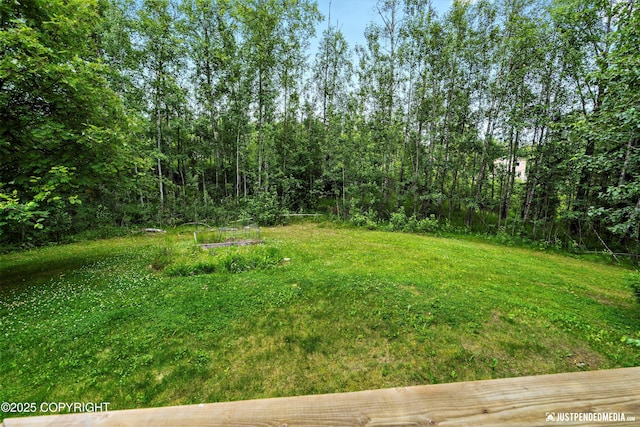 7409 S Timberview Dr, Wasilla, AK 99623 - view of yard