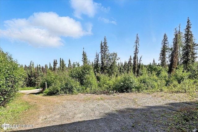 34494 Grizzly Ln, Sterling, AK 99672 - view of local wilderness