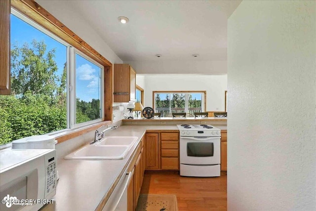 34494 Grizzly Ln, Sterling, AK 99672 - kitchen with white appliances, light countertops, light wood-type flooring, plenty of natural light, and a textured wall