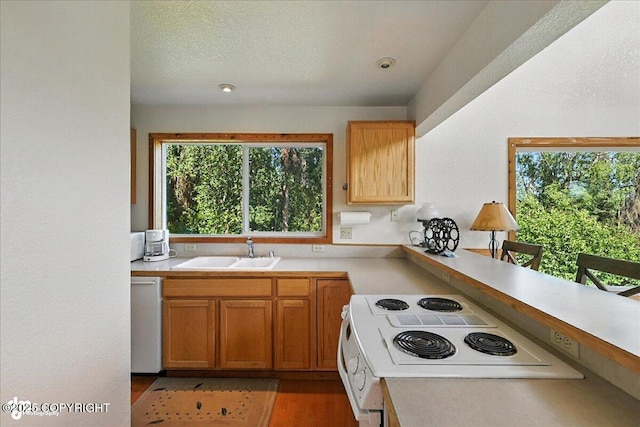 34494 Grizzly Ln, Sterling, AK 99672 - kitchen with dishwashing machine, stove, light countertops, and light wood-style flooring