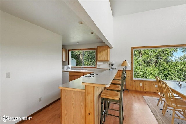 34494 Grizzly Ln, Sterling, AK 99672 - kitchen with light wood finished floors, light countertops, a kitchen bar, dishwasher, and a peninsula