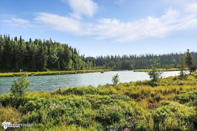 23634 Kasilof River Cir, Kasilof, AK 99610 - water view with a forest