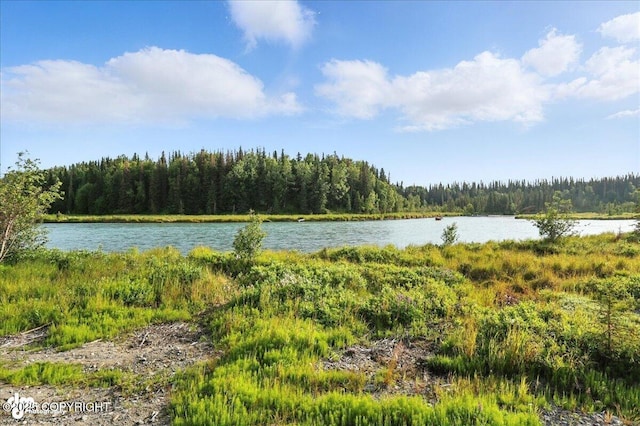 23634 Kasilof River Cir, Kasilof, AK 99610 - water view with a heavily wooded area