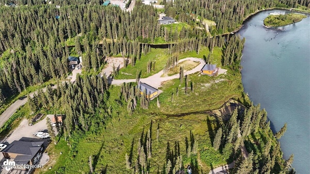23634 Kasilof River Cir, Kasilof, AK 99610 - aerial overview of property's location featuring a nearby body of water