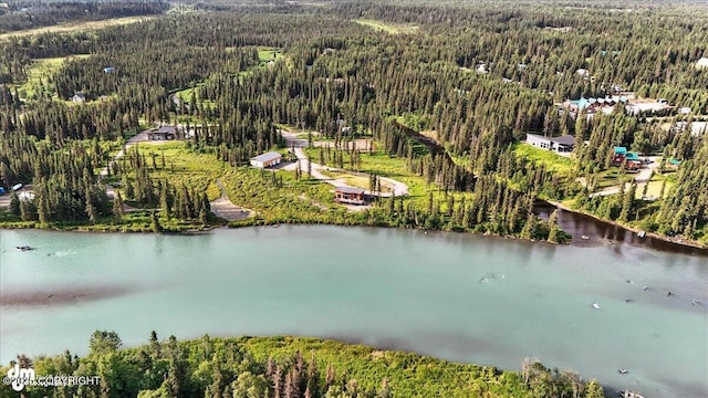 23634 Kasilof River Cir, Kasilof, AK 99610 - bird's eye view of a forest and a large body of water