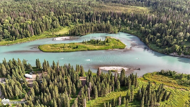 23634 Kasilof River Cir, Kasilof, AK 99610 - surrounding community with a view of trees and a water view