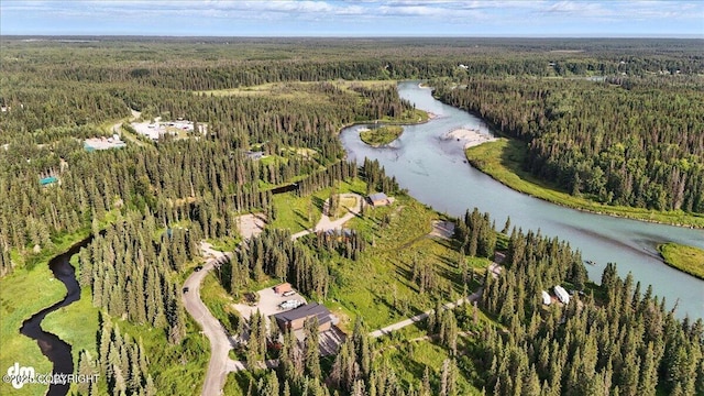 23634 Kasilof River Cir, Kasilof, AK 99610 - view of property location with a heavily wooded area and a nearby body of water