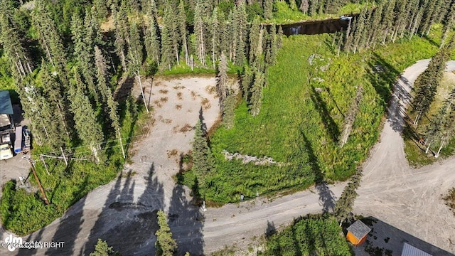 23634 Kasilof River Cir, Kasilof, AK 99610 - bird's eye view